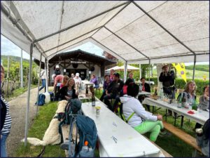 Rheingauer Krimiwanderung