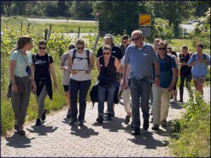 Rheingauer Krimiwanderung